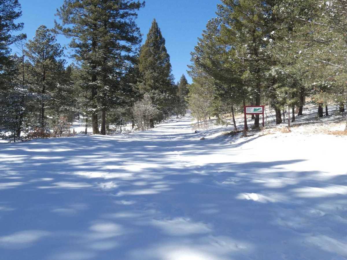 Deep Slough trail photo