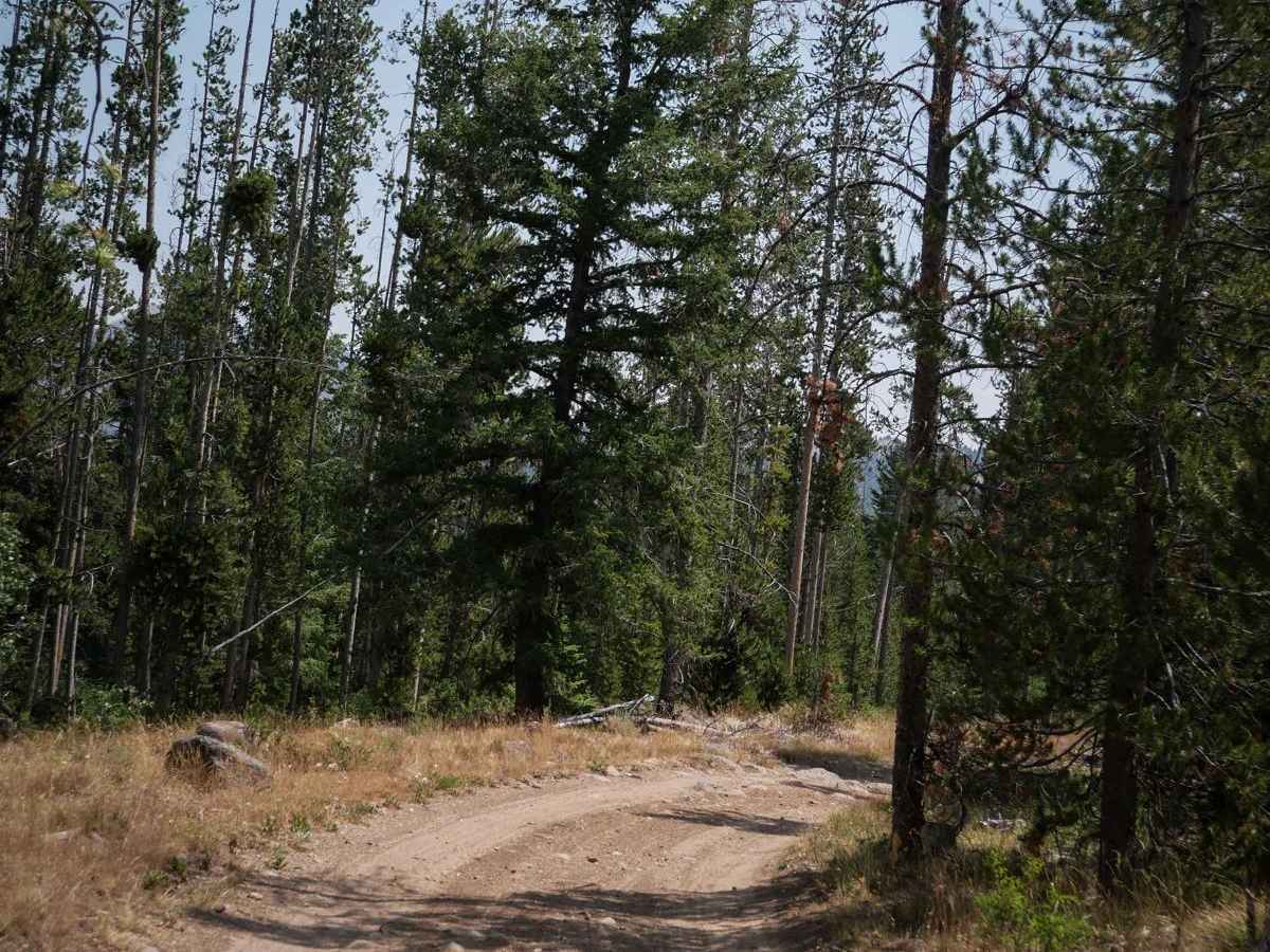 Challis Creek Road trail photo