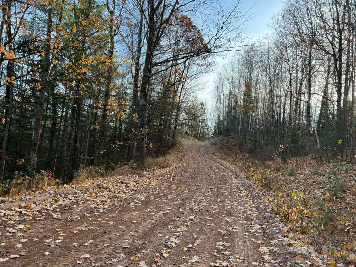 Marinette County 16E/W Pembine photo 5