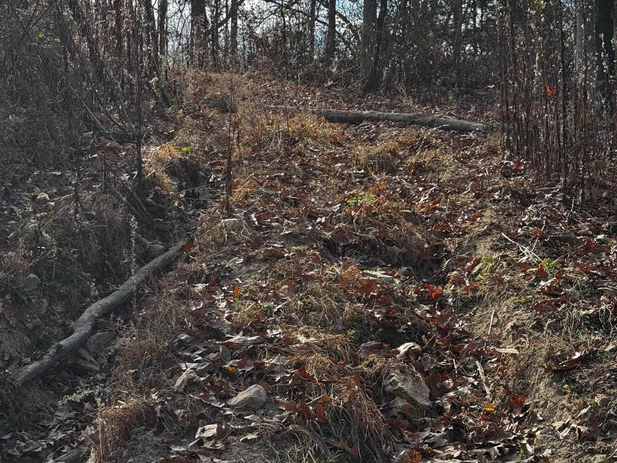 Skid Mark photo 3