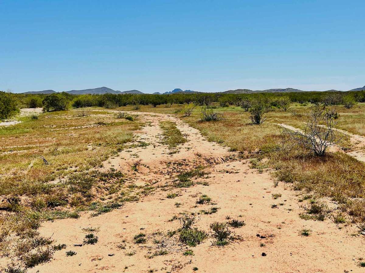 Meander Along photo 5