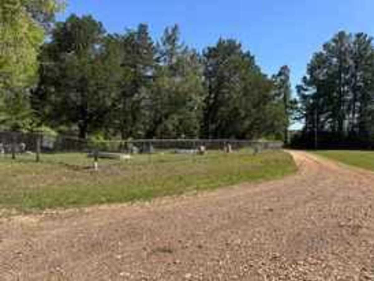 Fox Camp Road photo 4