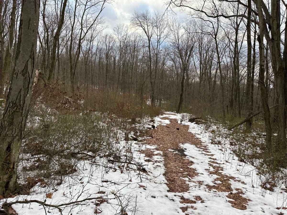 Ashland 182 trail photo