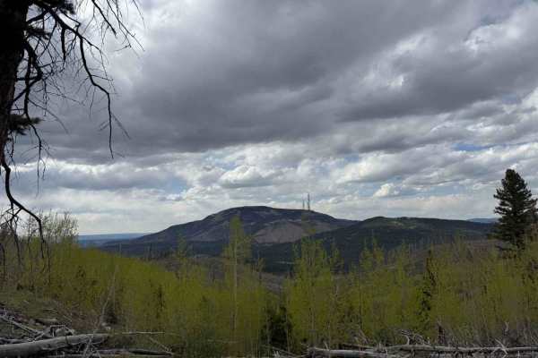 Bear Springs Road Continued