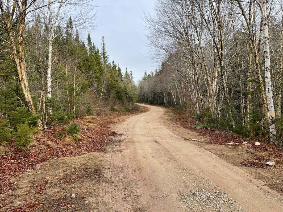 Ingramport Road photo 6