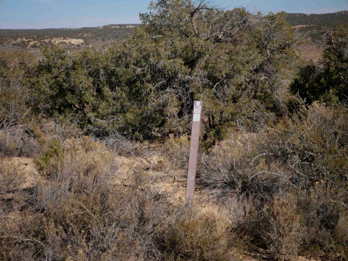 Oilwell Road (Dirt Bike) photo 2