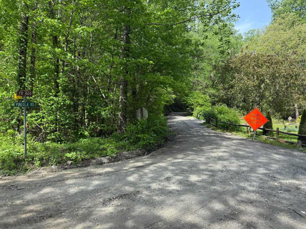 Pineola Road - FS 464 trail photo