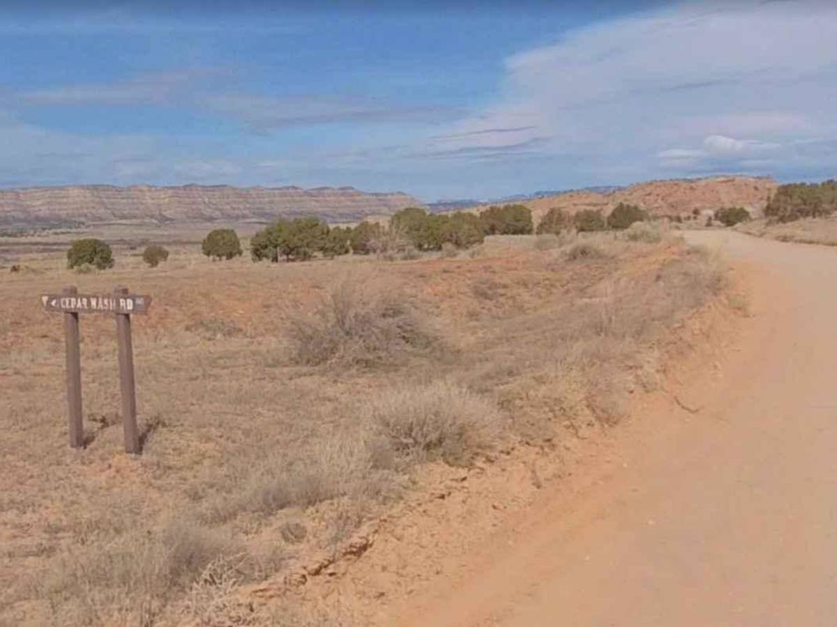Cedar Wash Road-BLM210 trail photo