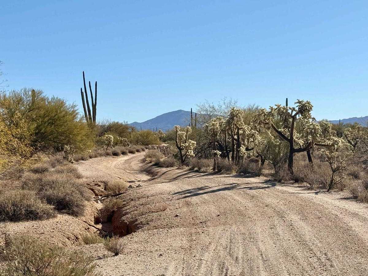 Brady Loop trail photo