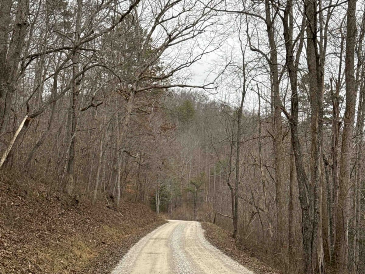Clover Bottom Creek Road trail photo