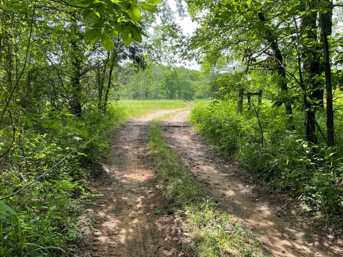 Lone Star School Road (FS 3824) photo 5