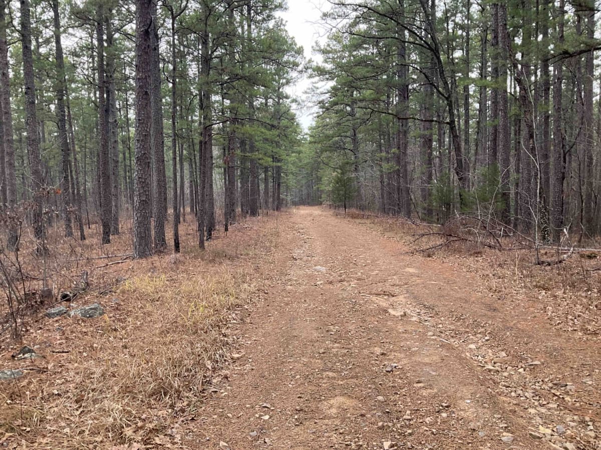 Goldville Trail photo 4
