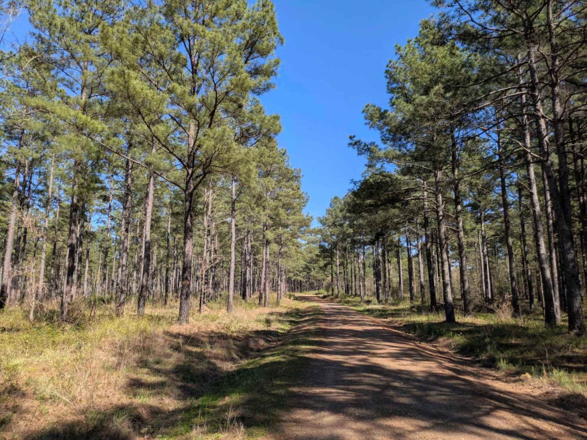 Anderson Trail photo 6