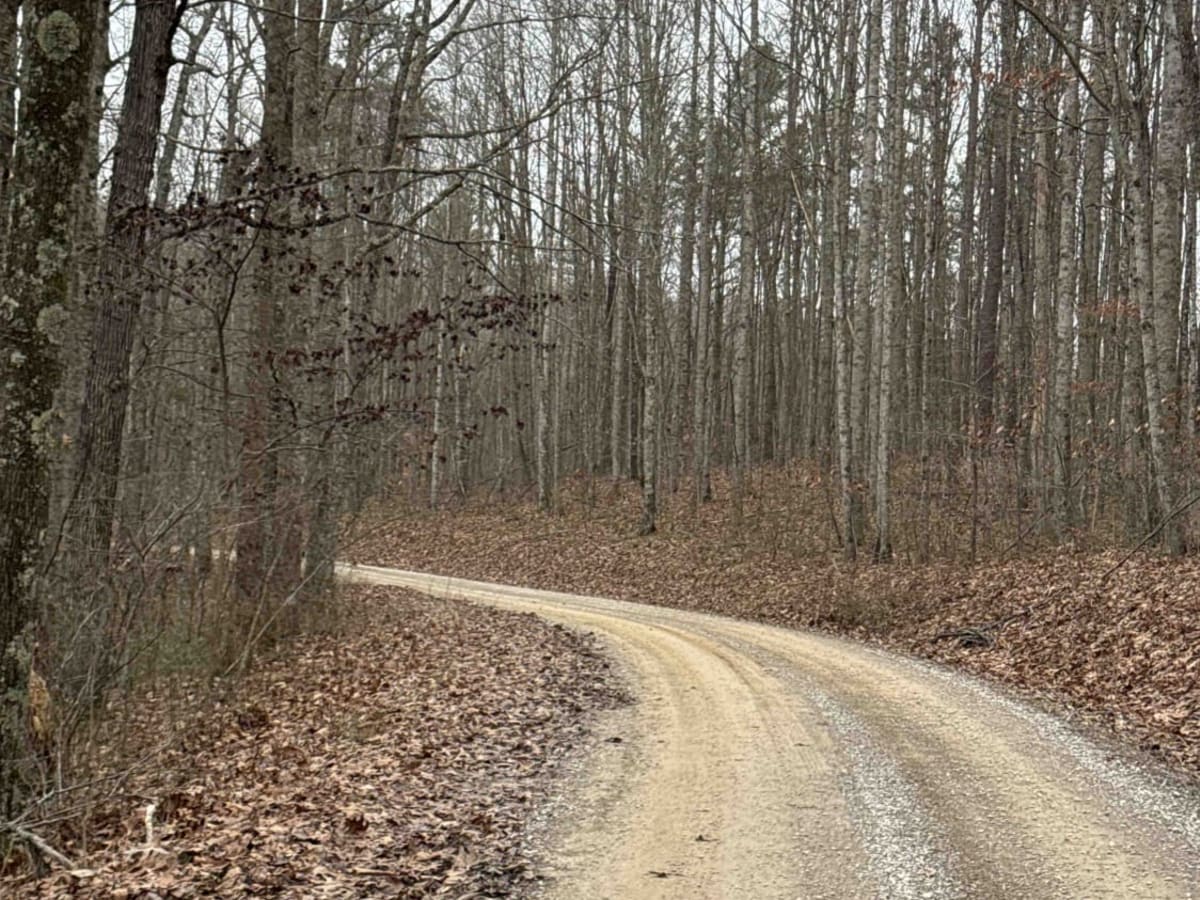 Bear Gap Road (FSR 431) photo 3