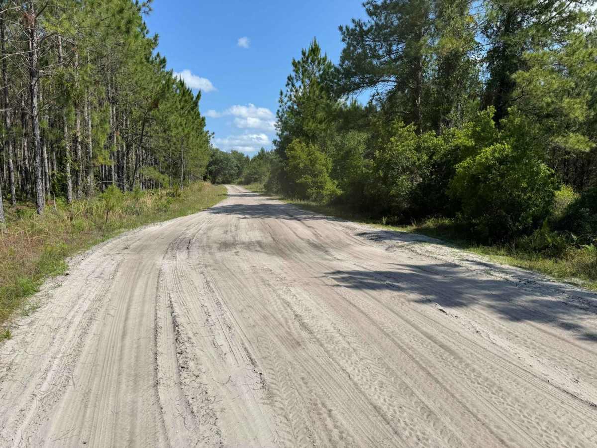 Fish Camp Road - CR2082 Connector photo 3