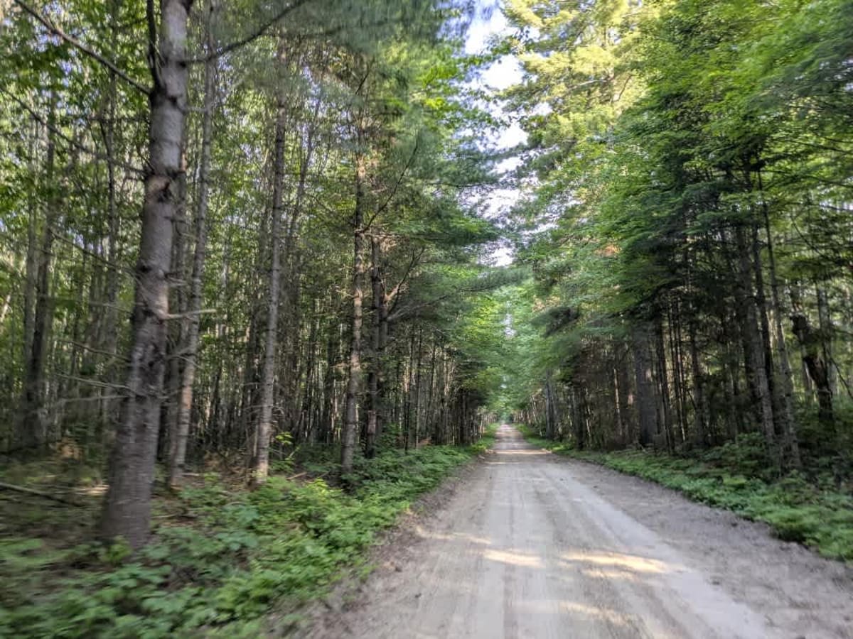 2382 trail photo