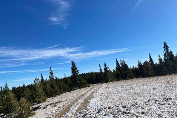 Bartleson Peak- J8823