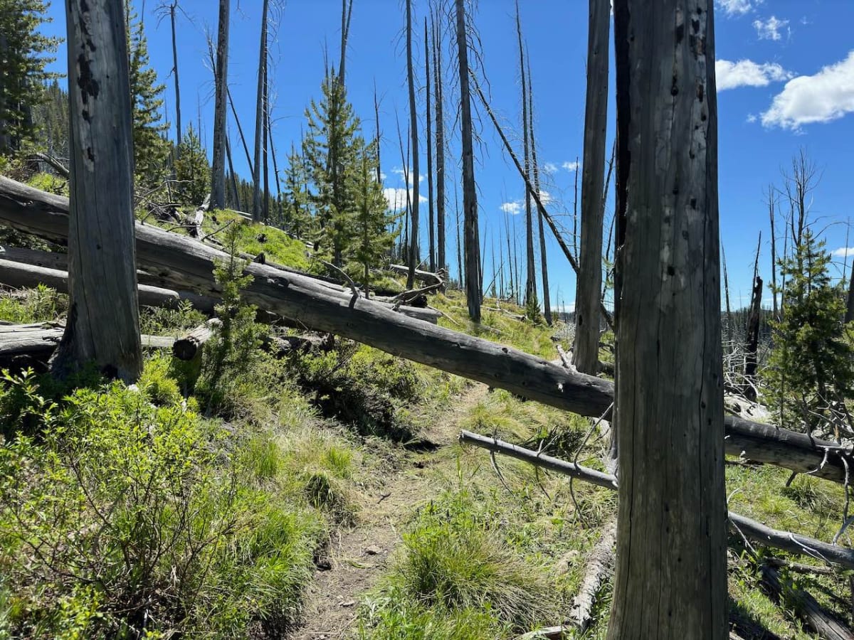 Warm Springs Ridge photo 4