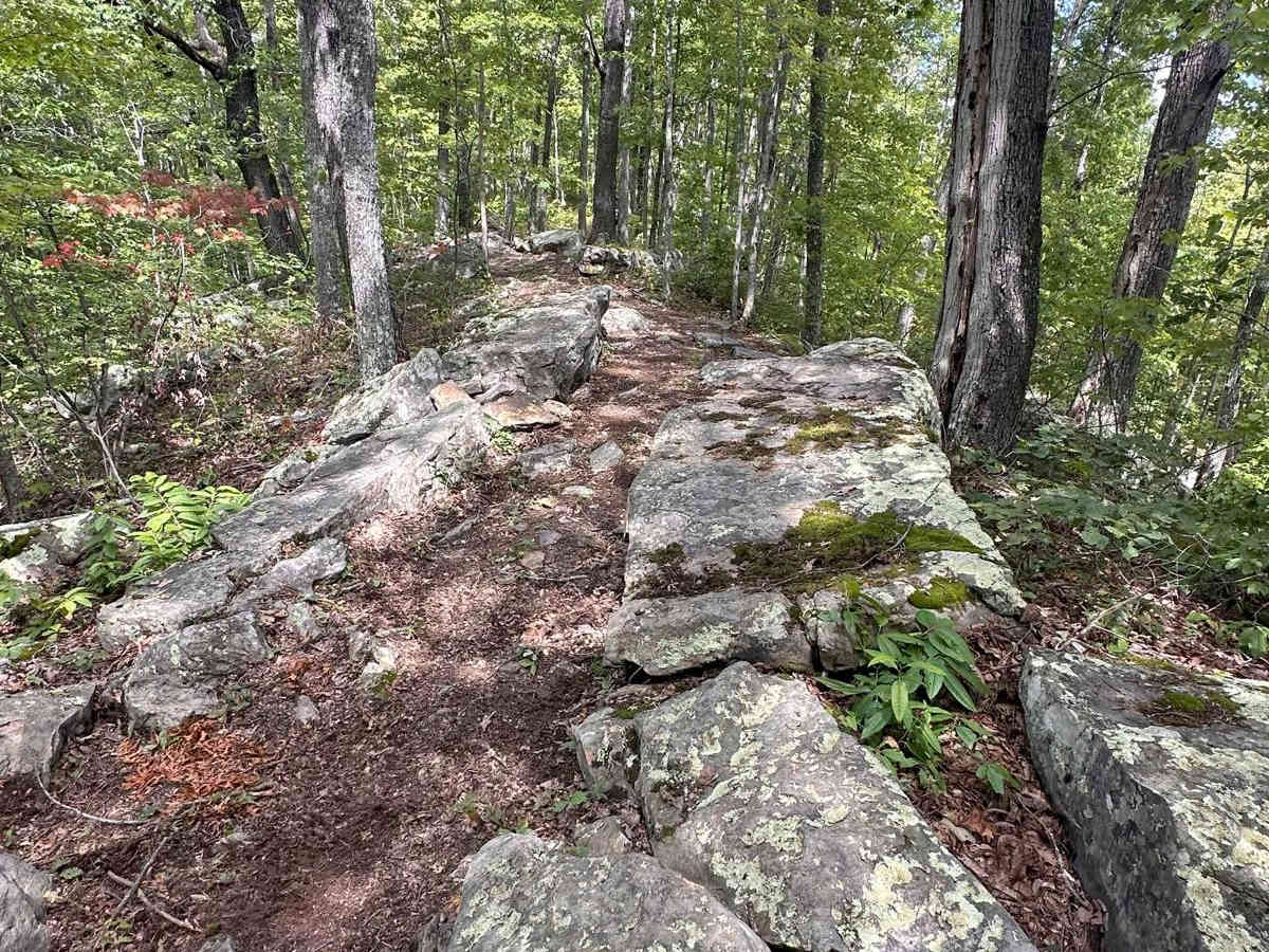 Rattler Ridge photo 2