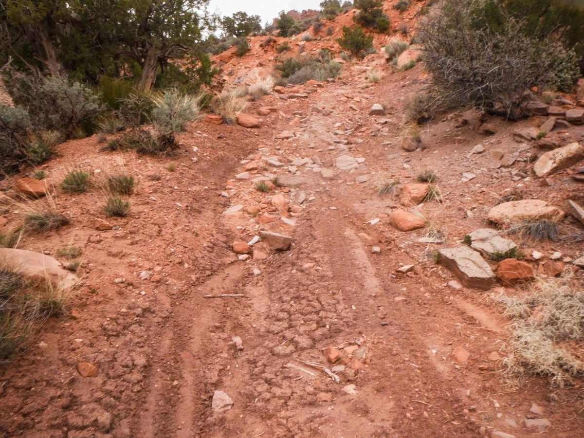 Comb Wash Cave Road trail photo