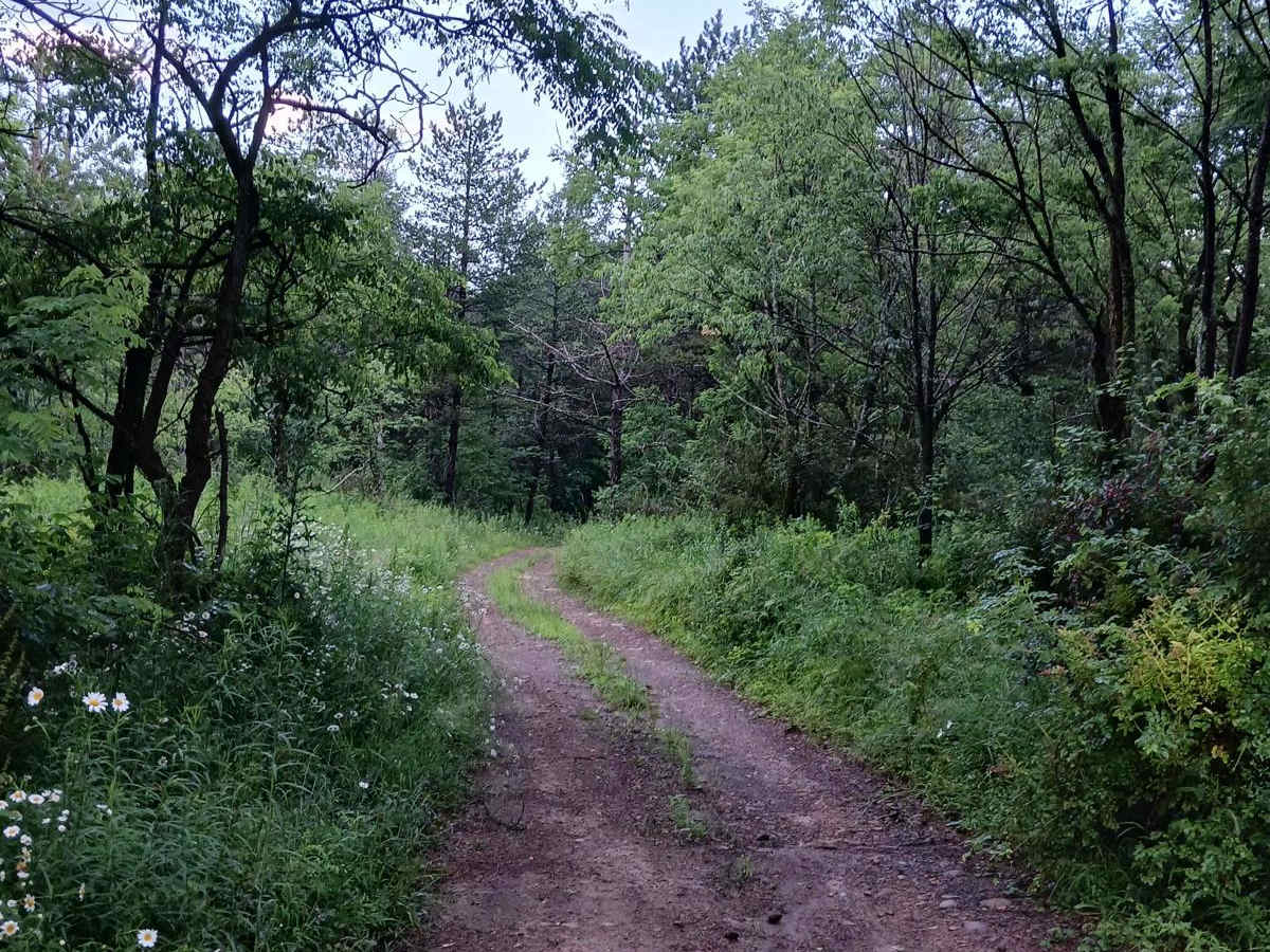 Trail 12U - Rock Run Recreation Area photo 4