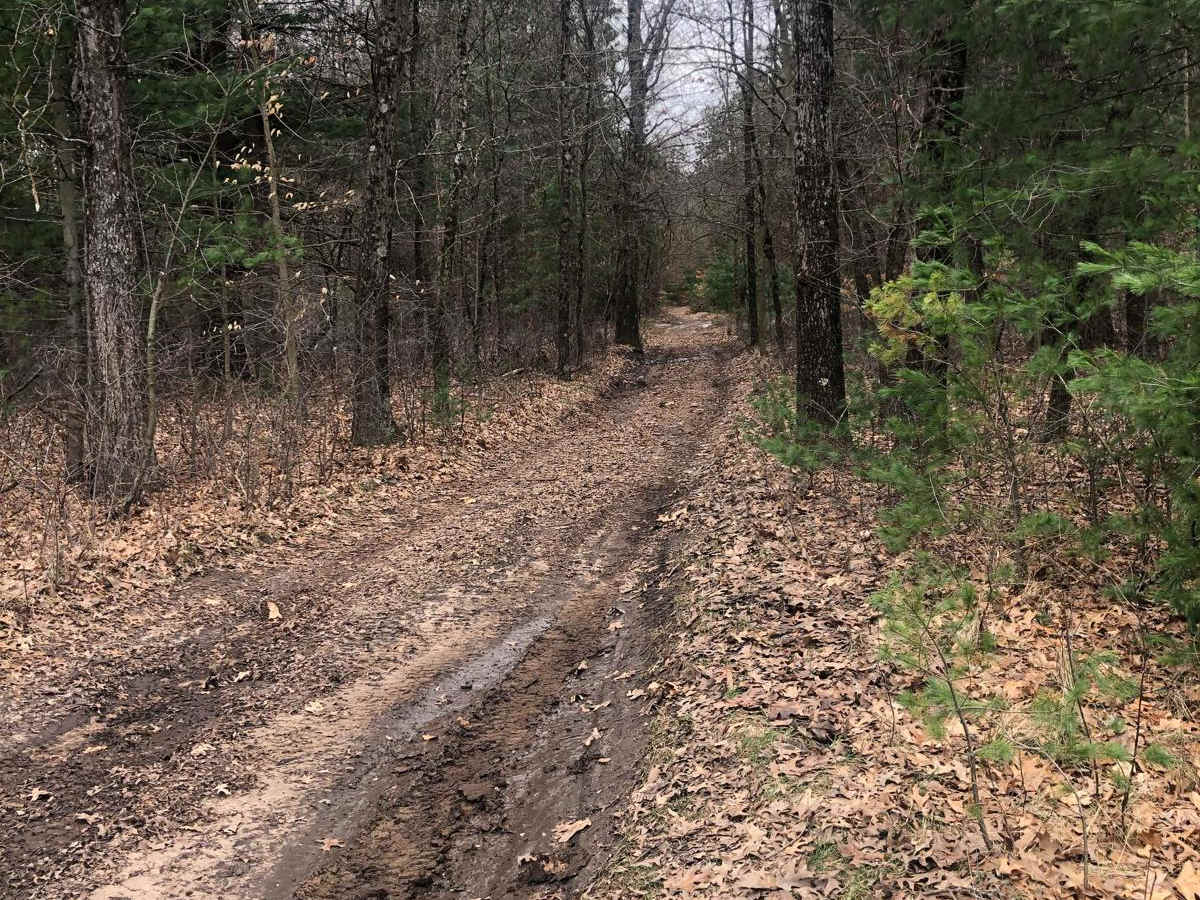 NFS Road 9884 photo 5