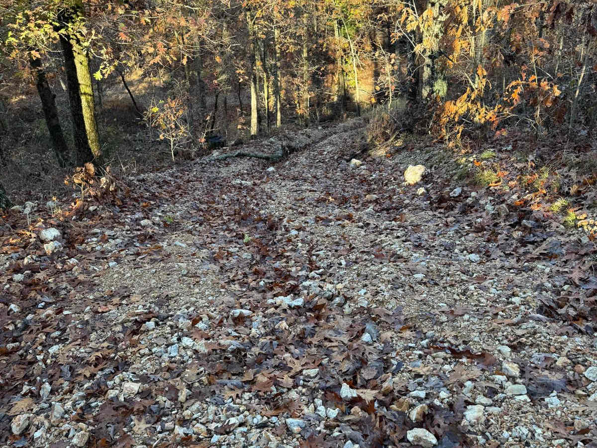 Yellow 118 trail photo