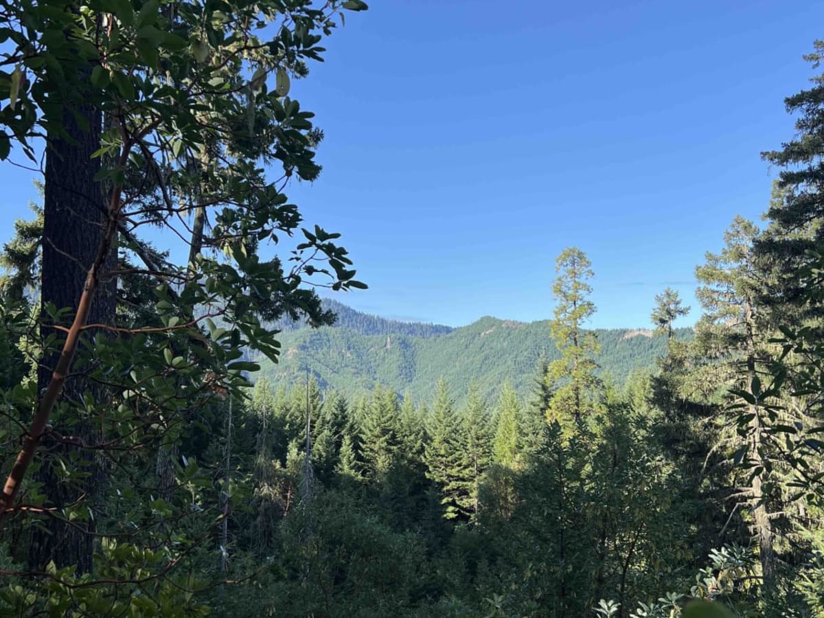 Gate Creek 5875565 photo 6