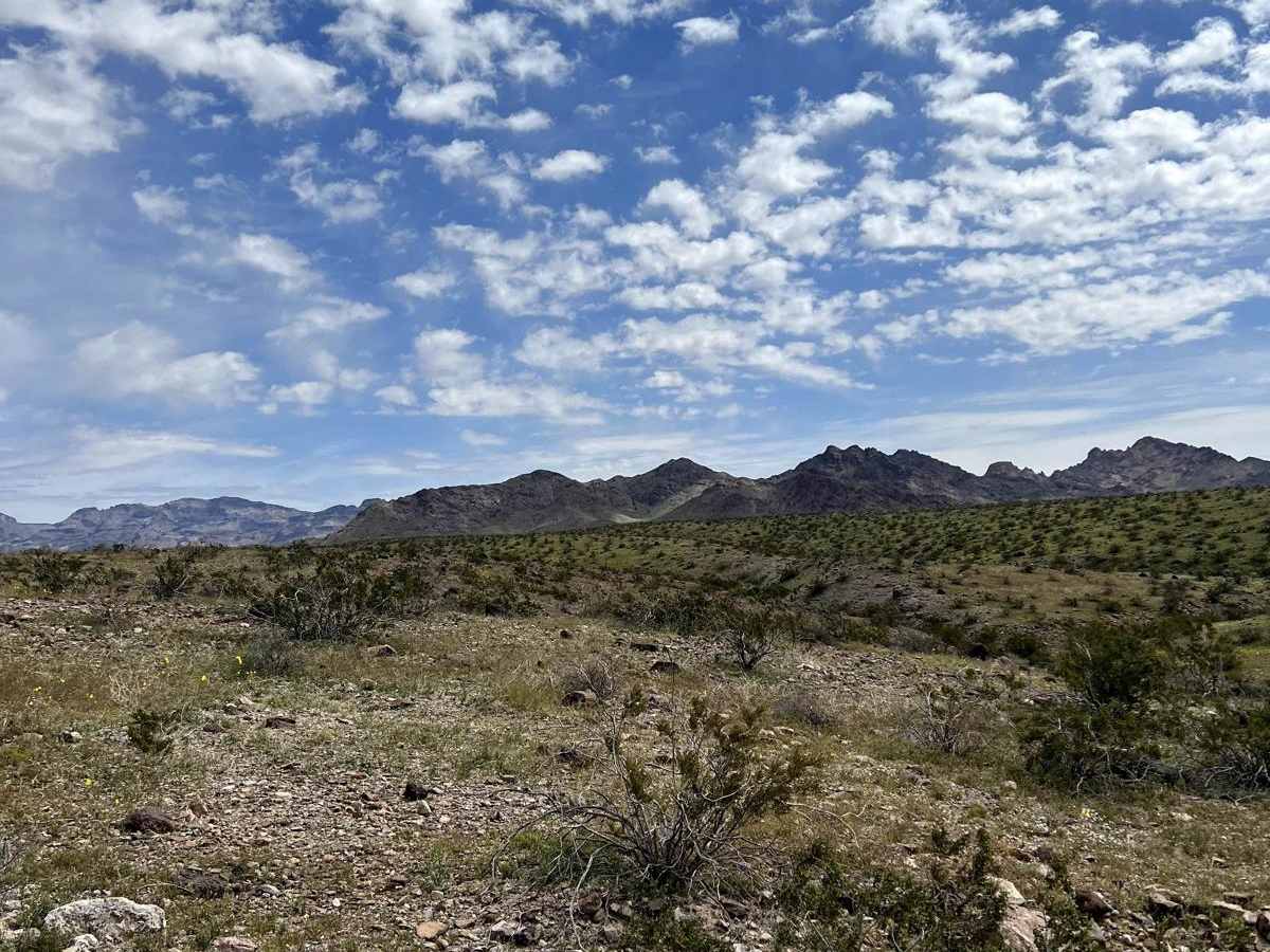AZ Peace Trail Segment Lake Havasu to Kingman photo 4