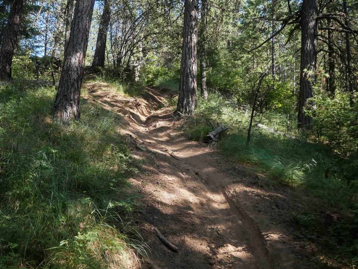 East Boundary photo 2