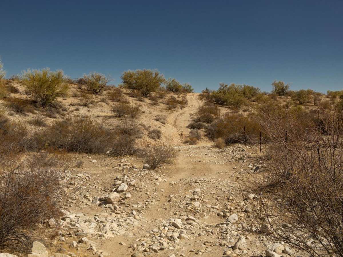 Fenceline Runout photo 6
