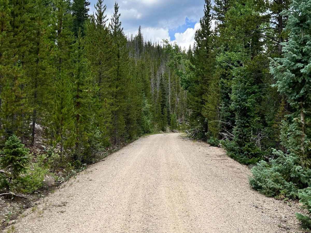 South Fork Road - FS 142.1 photo 2