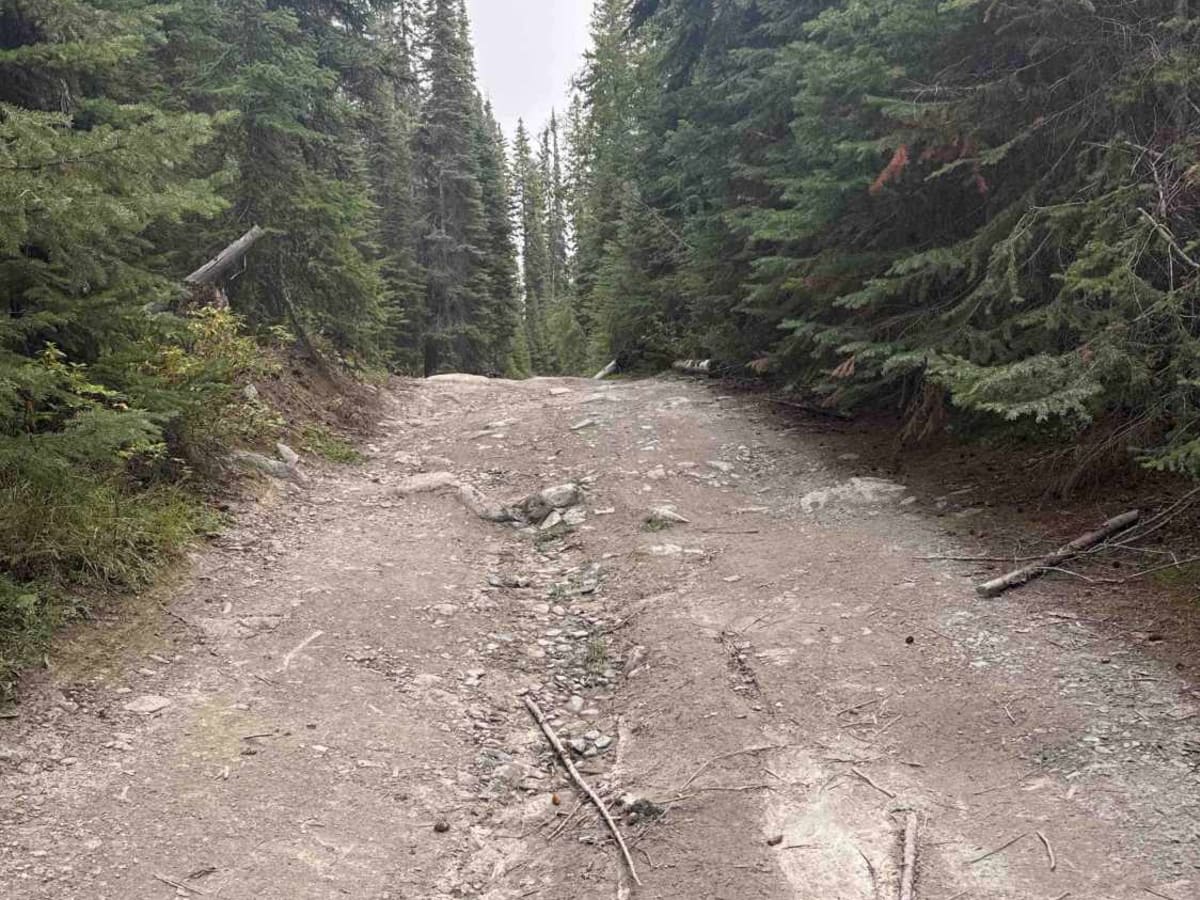 Pannask Lake Road photo 3