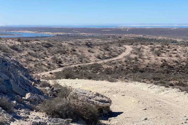 Midway Trail