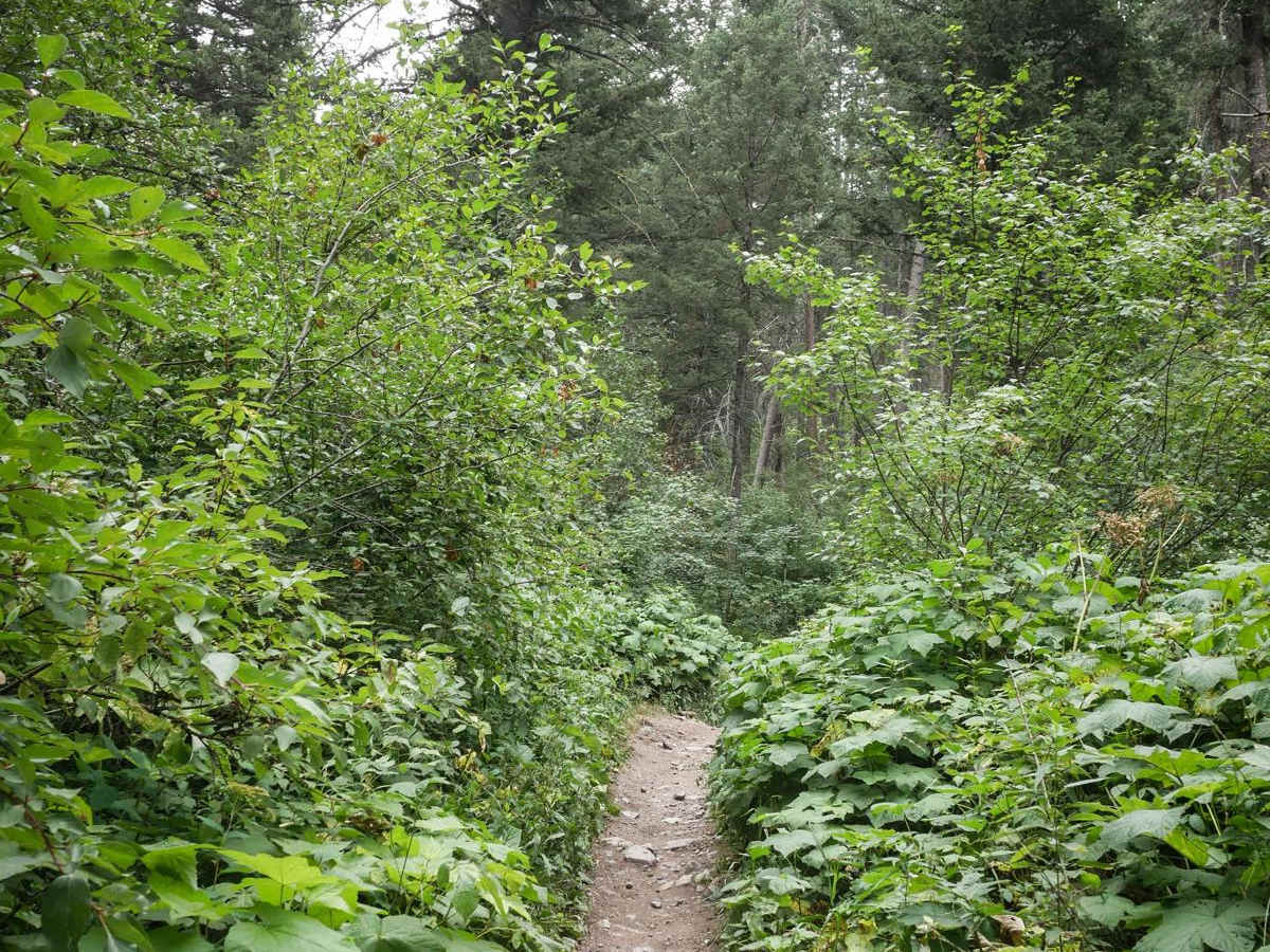 Truman Gulch photo 4
