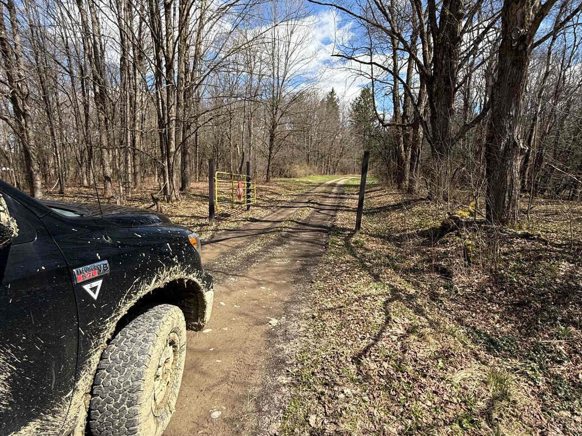 Vandermark Allen Forest Road photo 2