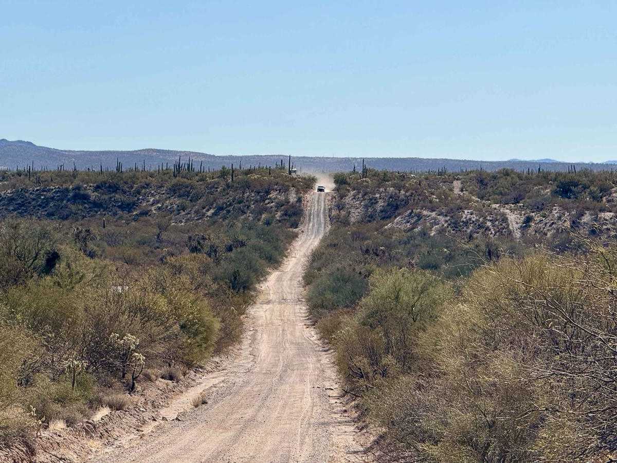 Gas Pipeline: Freeman to Lovetta trail photo