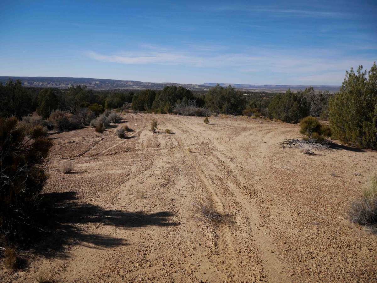 ATV Loop photo 6