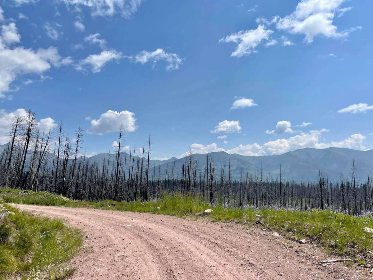 Auggie Cutoff Trail photo 2