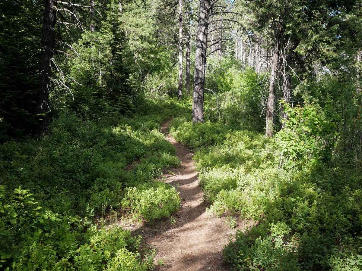 Ames Ridge NRT photo 5