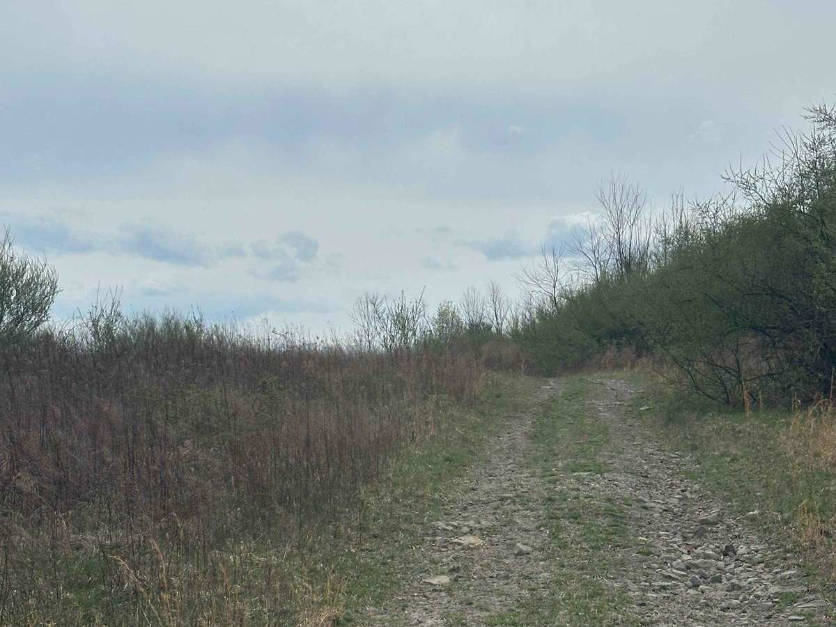 119 trail photo