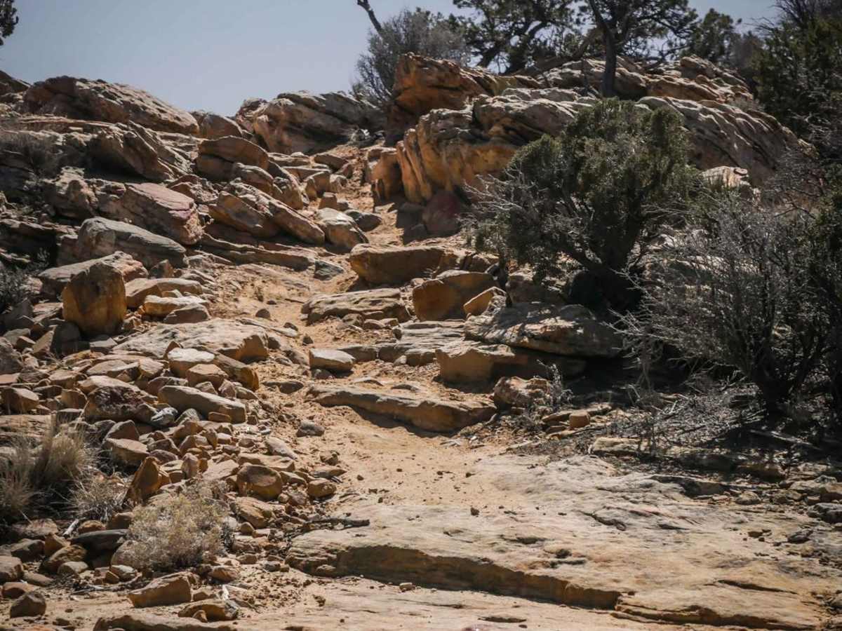 Red Trail photo 6