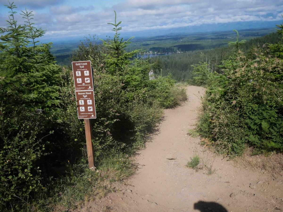 Gold Creek trail photo