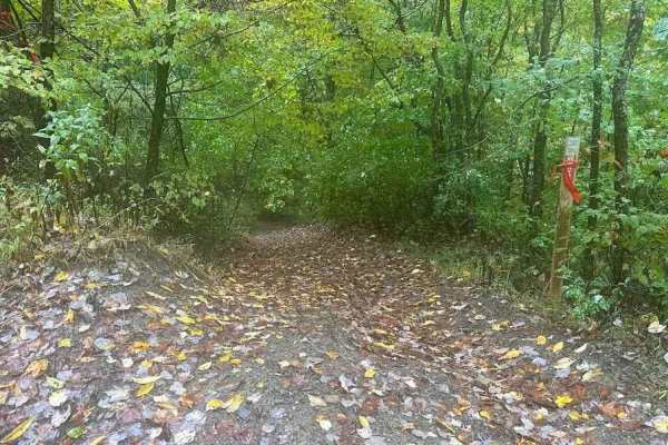 177 Single Track