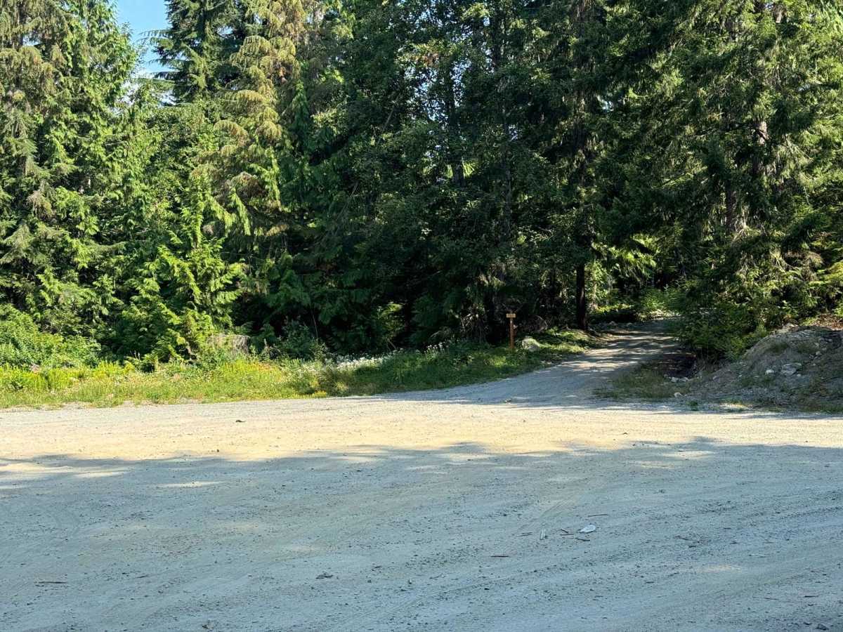 Evergreen Mountain photo 3