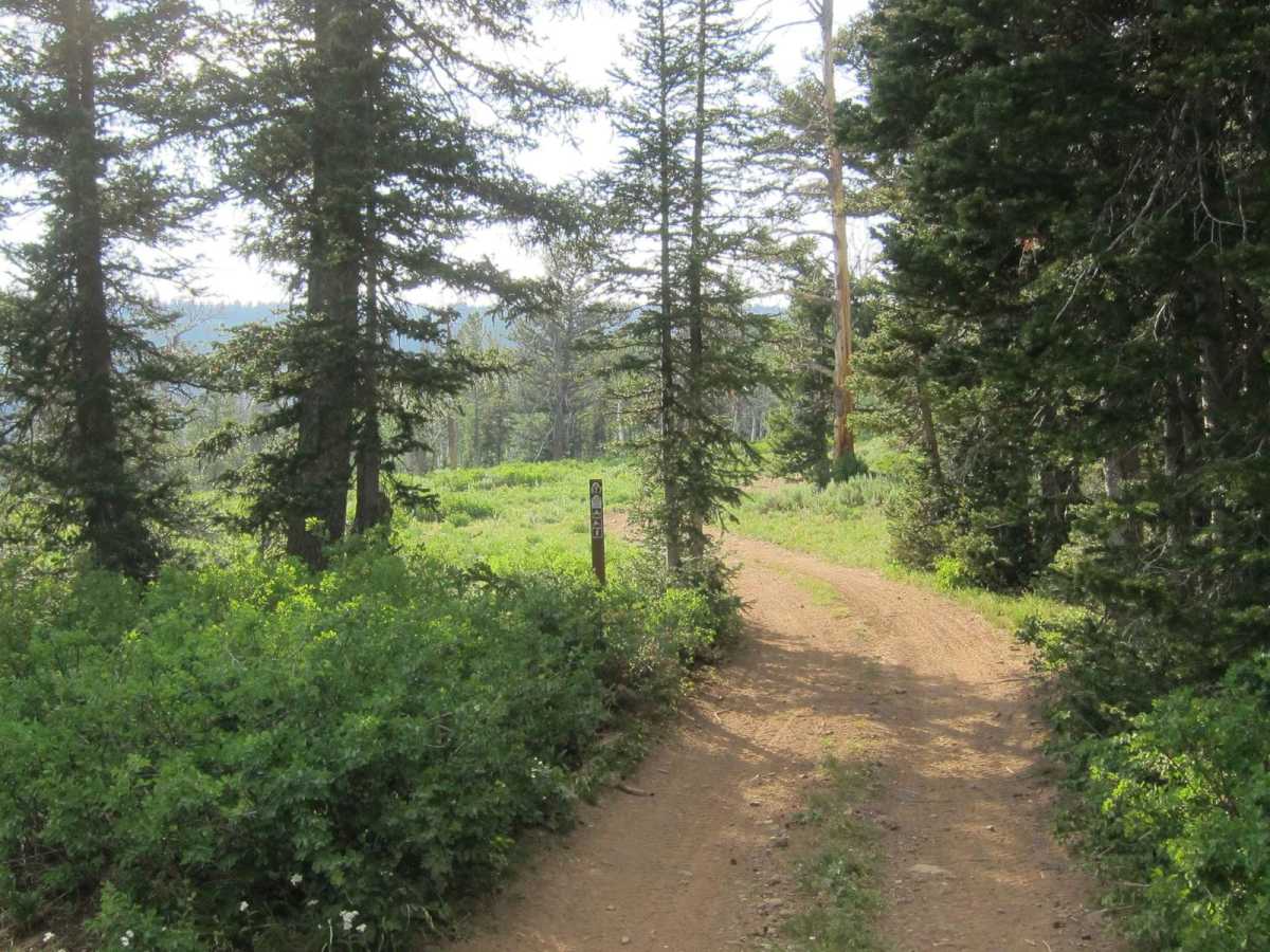Church Hollow Trail trail photo