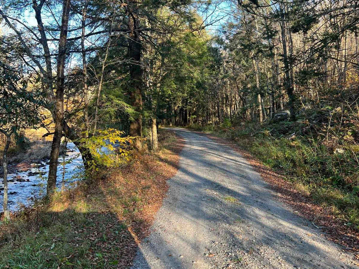Plank Road photo 4