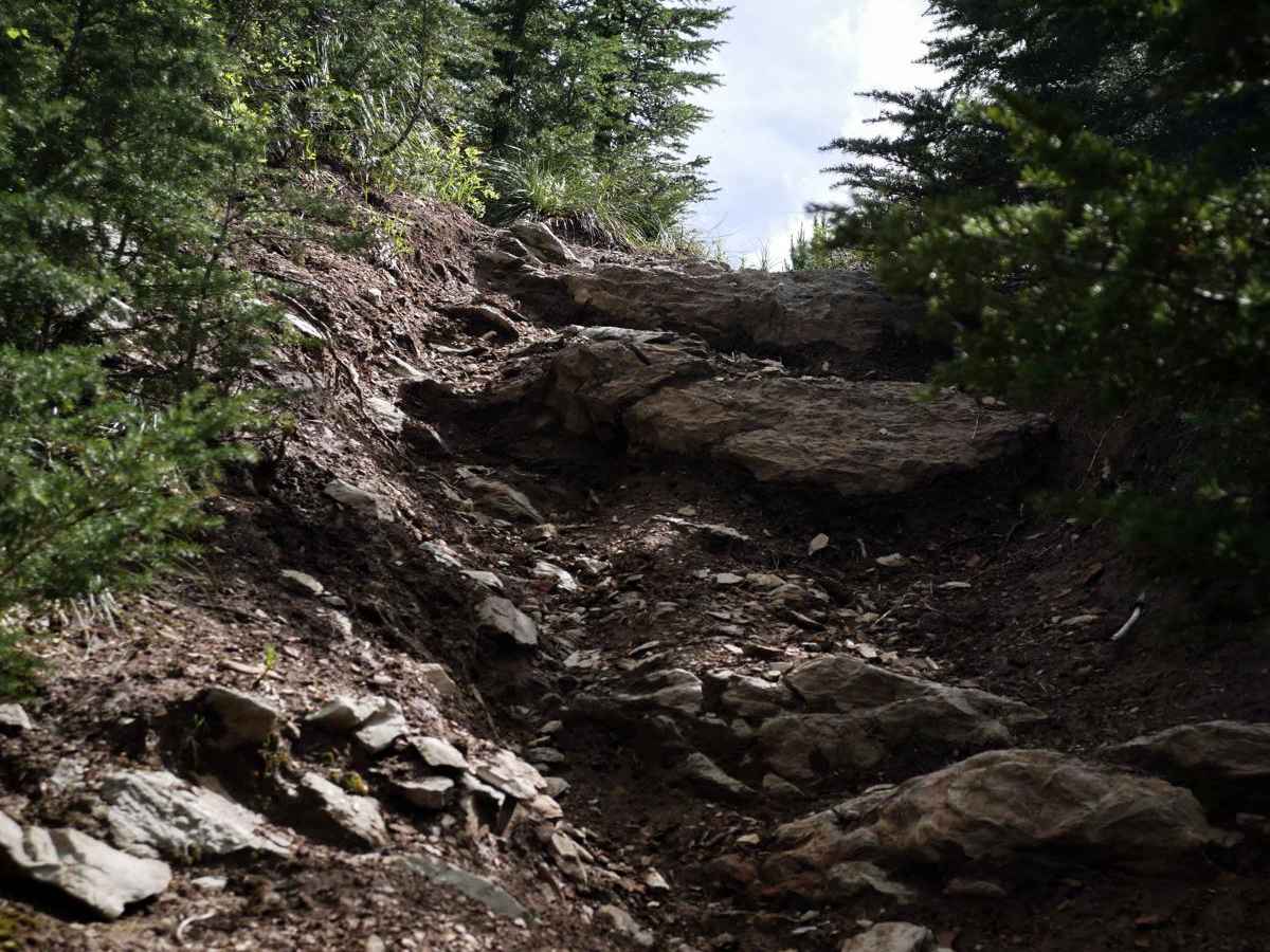 Foolhen trail photo