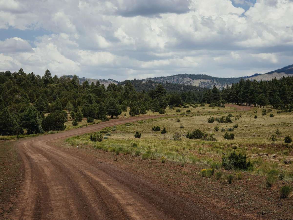 Bellemont-MoritzRoad photo 4