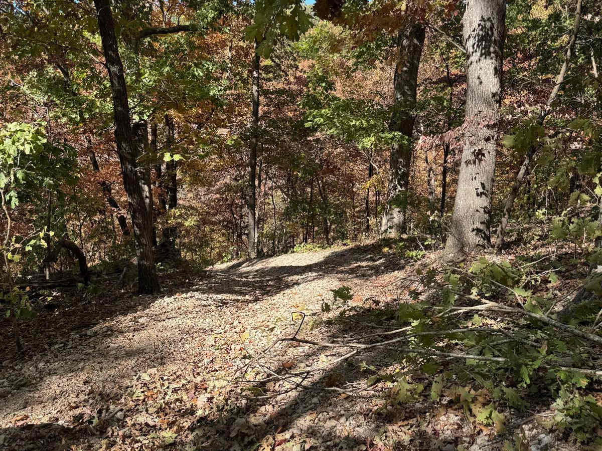 Red 69 trail photo